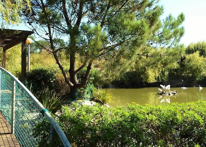 Jardins Da Ria 4* Torreira