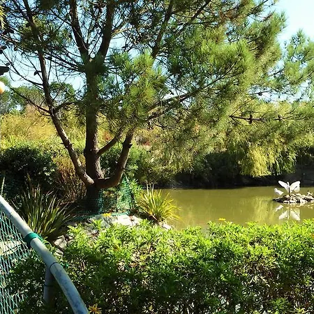 Jardins Da Ria 4* Torreira